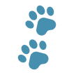 paw